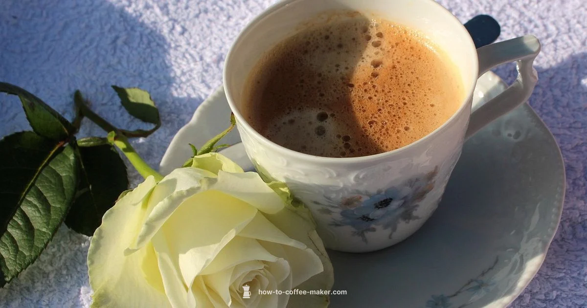 Dishwasher Care - BrewGuide Pro