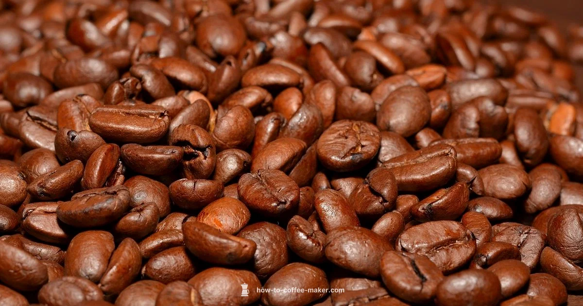 Best Hamilton Beach - BrewGuide Pro