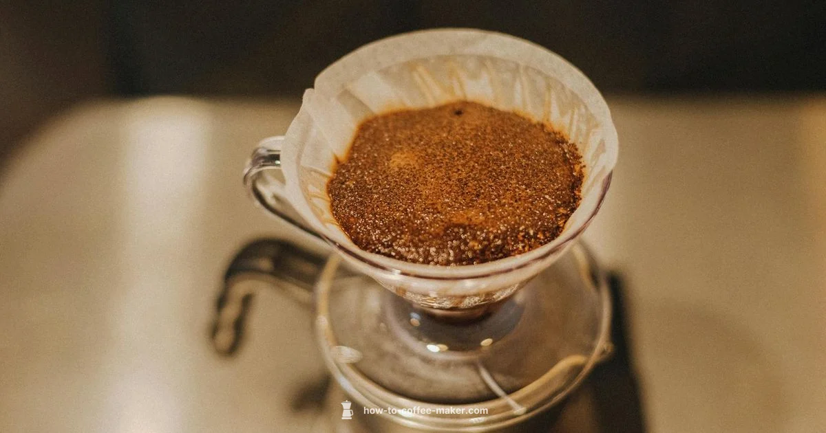 Smeg Filter Overview - BrewGuide Pro