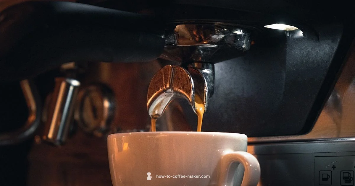 Coffee Showdown Coffee Showdown - BrewGuide Pro