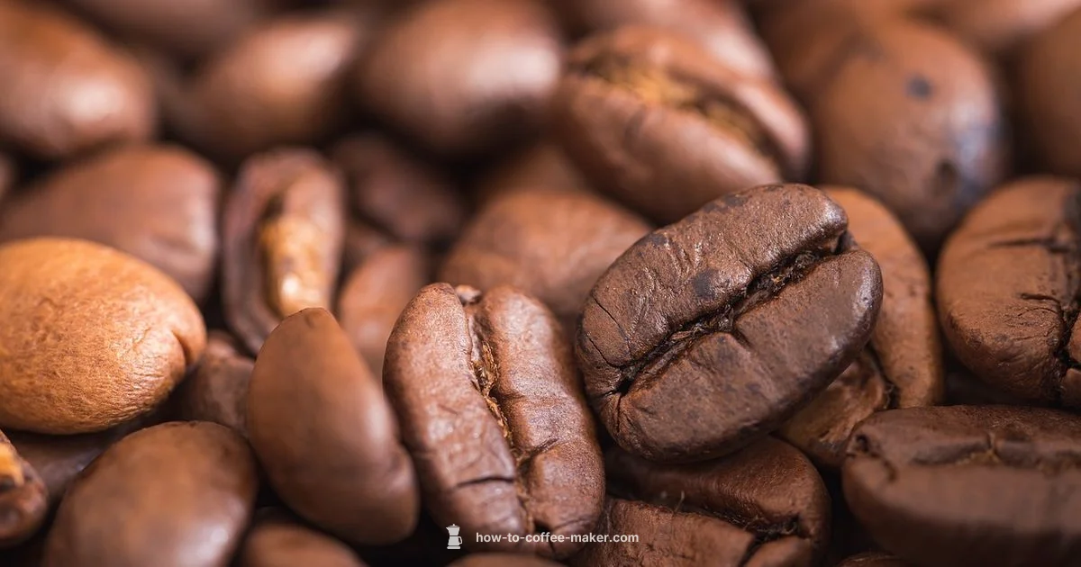 Accessory Essentials - BrewGuide Pro