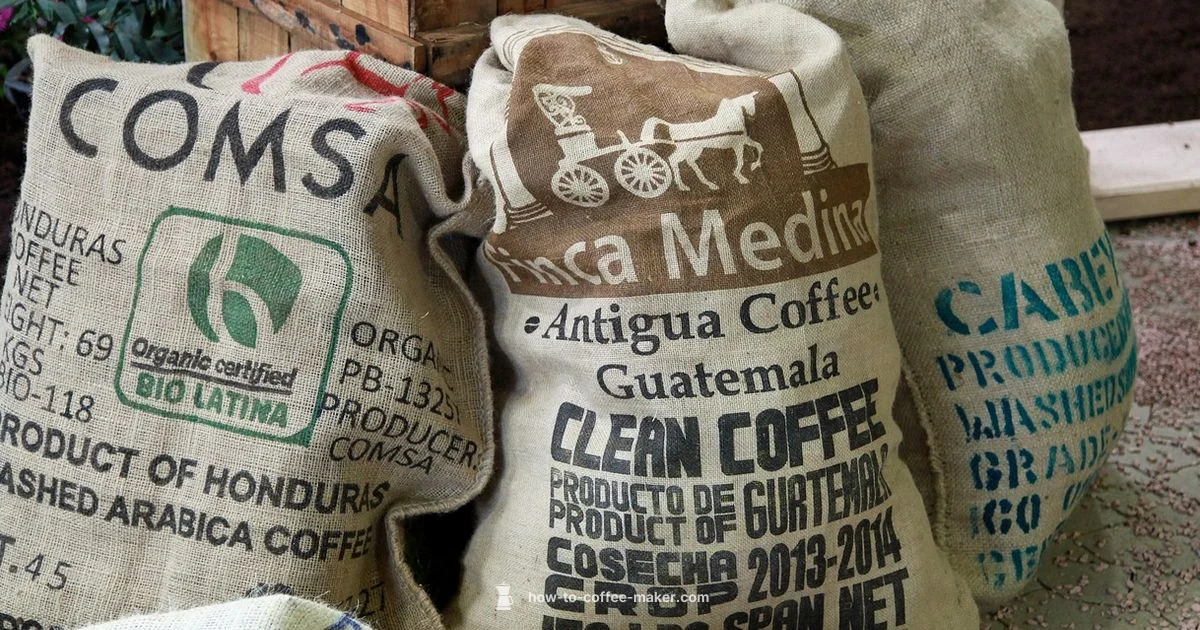 Single Serve Bags - BrewGuide Pro