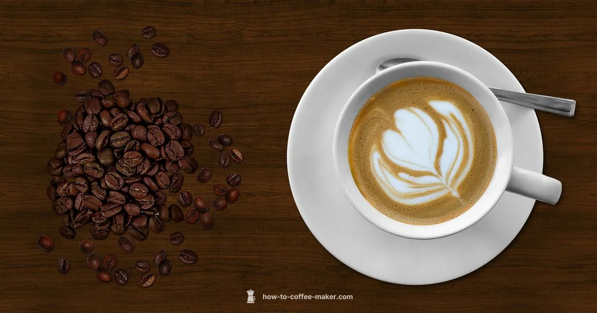 Barista Espresso Guide - BrewGuide Pro