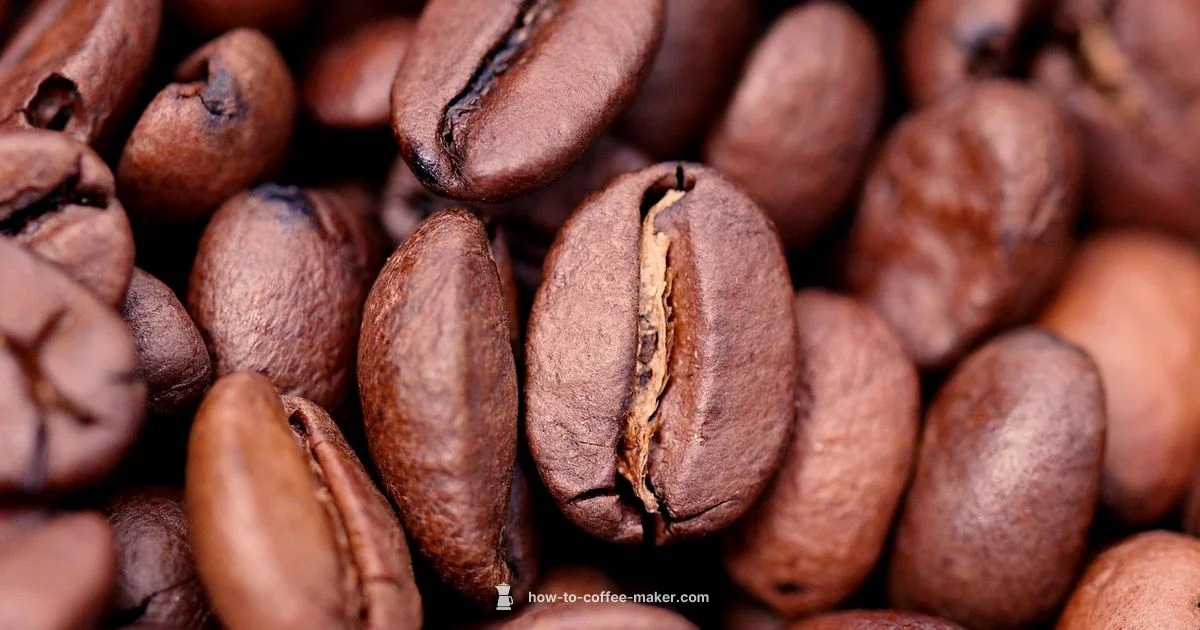 Burnt Taste Fix - BrewGuide Pro