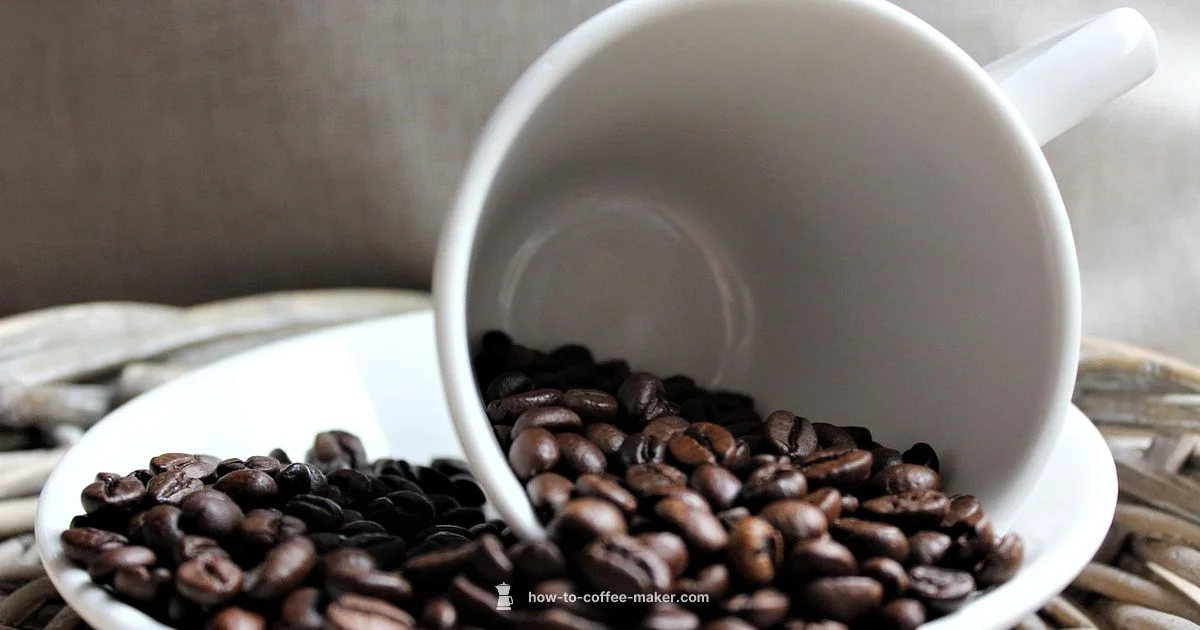 Price Factors Revealed - BrewGuide Pro