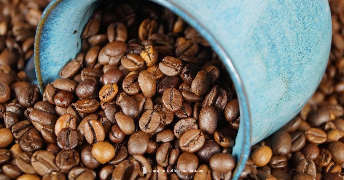 Best Bean Grinder - BrewGuide Pro