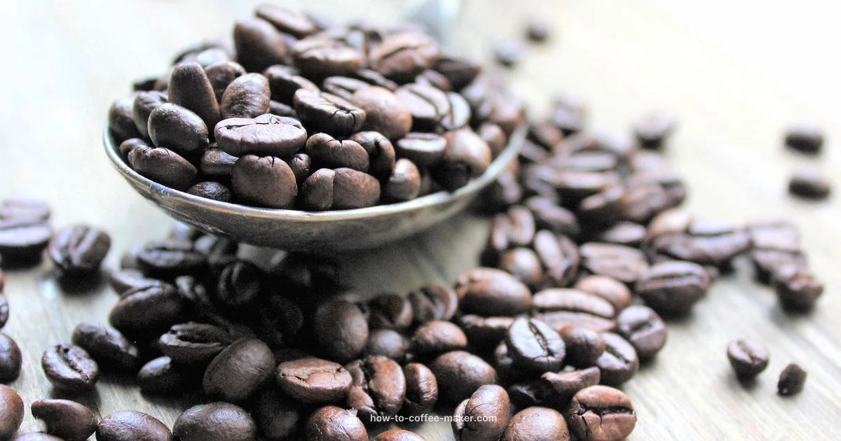 Miele Countertop Brew - BrewGuide Pro